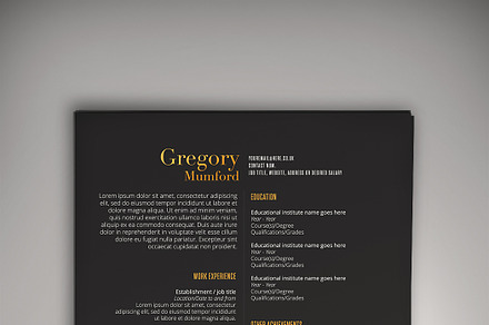 Noir and Blanc CV (DOC + PSD)