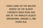 Creosote | Rugged Sans Serif Font, a Font by Amber Morgan (Thumbnail 6 of 6)