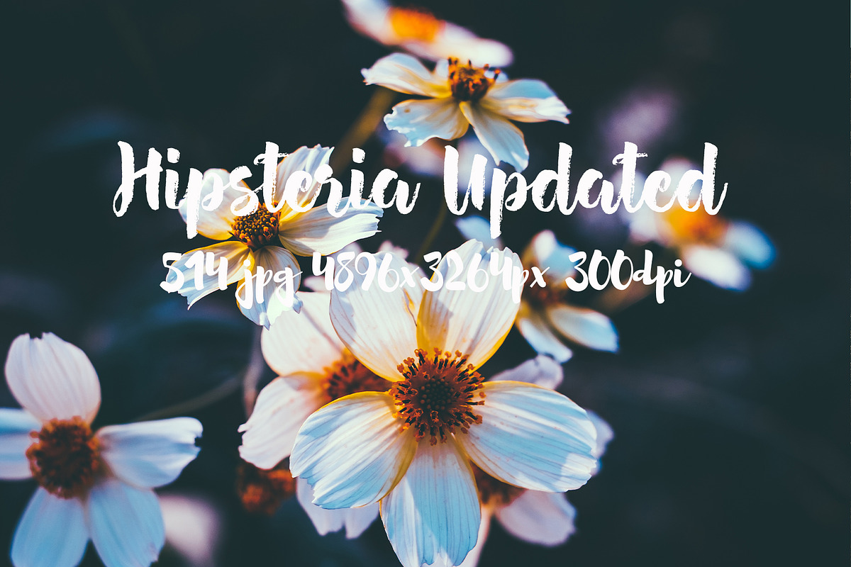 Hipsteria photo pack, a Templates & Theme by ApertureVintage (Photo 14 of 48)