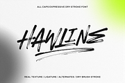 Hawline Inked – Expressive Font, a Handwritten Font by Negara Studio (Thumbnail 1 of 10)