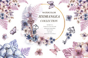 Watercolor Hydrangea Collection, a Decorative Illustration by MayaNavits (Thumbnail 1 of 13)