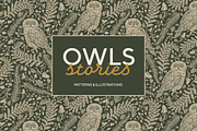 Owls graphic collection, a Decorative Illustration by Piñata (Thumbnail 1 of 17)