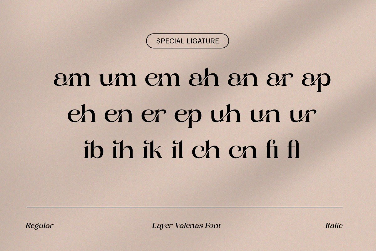 Luxury Ligature Font - Layer Valenas, a Serif Font by Say Studio (Photo 10 of 10)