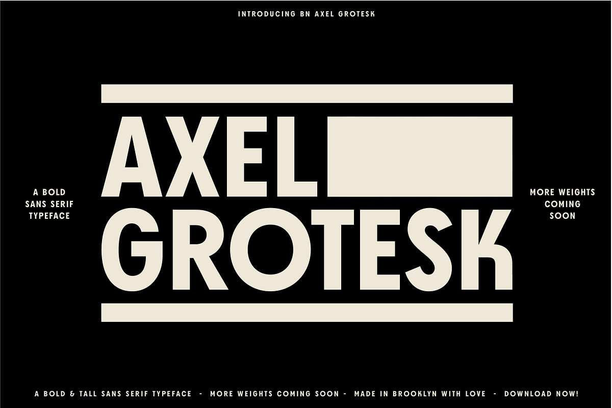 The Diverse Font Bundle, a Sans Serif Font by Bnick (Photo 32 of 34)