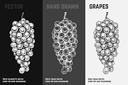 Fruits - hand drawn vector set, a Food Illustration by Margo Miller (Thumbnail 19 of 25)