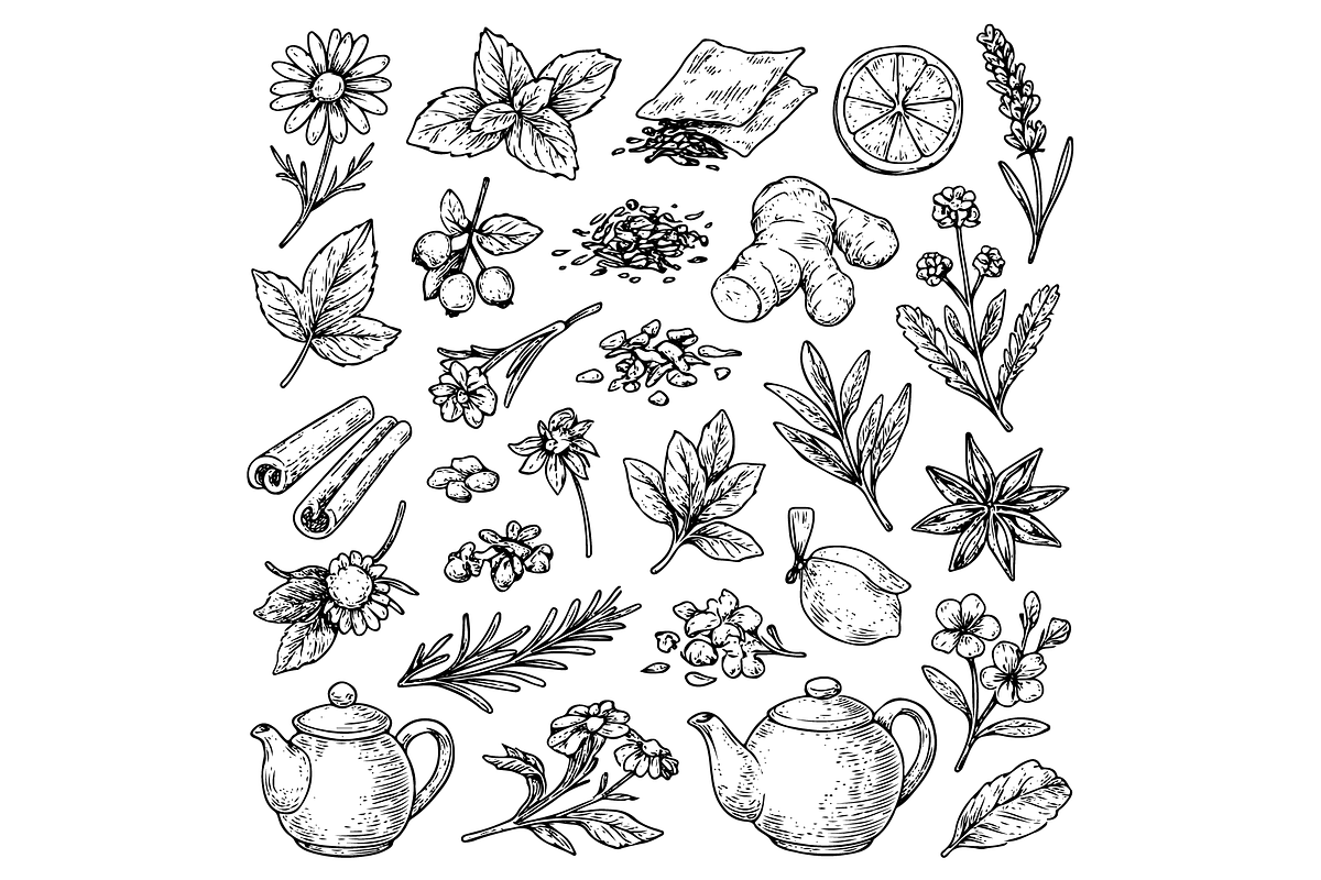Herbal Tea Mix Illustration, an Object Graphic by RT Studio