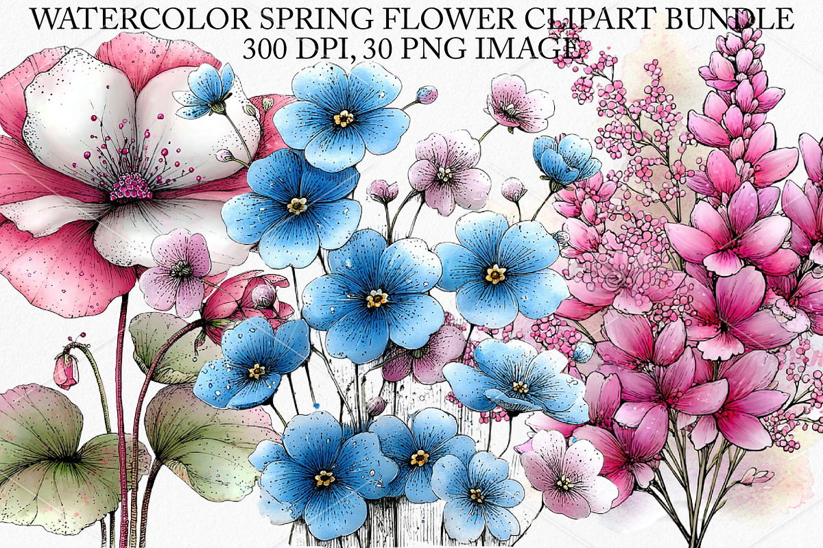 Watercolor Spring Flower Clipart PNG, an Illustration by Canvas Craft (Photo 1 of 7)