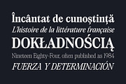 Saigon Minimalist Serif - Basic Pack, a Serif Font by The Paper Town (Thumbnail 8 of 16)