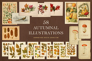 100 Vintage Autumn Ephemera