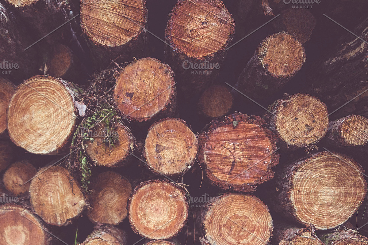 Wood Pack preview 5