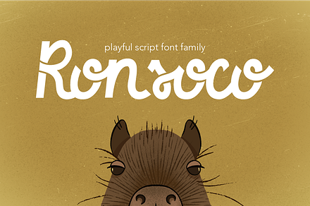 Ronsoco - playful font family