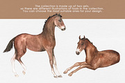 Foals Butterflies watercor clipart, an Illustration by FerroDakora (Thumbnail 3 of 7)