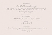 Pinellas Handwritten Script Font, a Script Font by Seagulls Creative (Thumbnail 9 of 9)