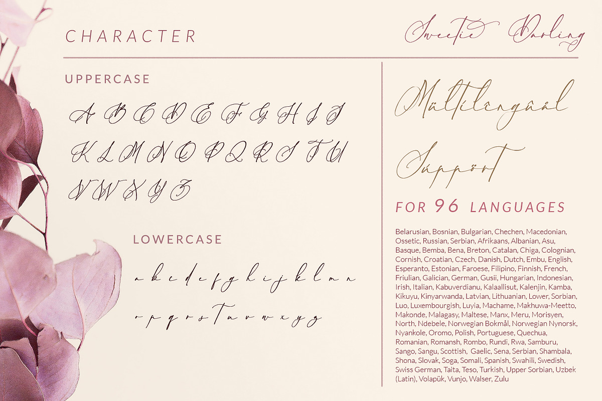 Sweetie Darling, a Script Font by Nathatype (Photo 11 of 11)