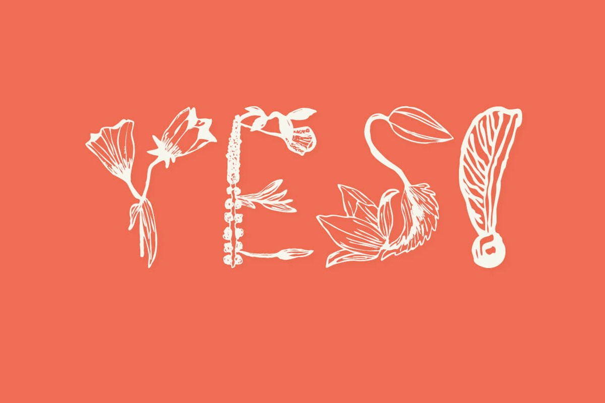 Herbarium preview 5