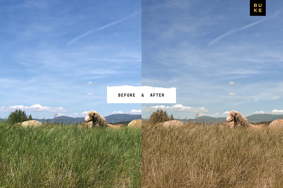 8 Pastel Lightroom Presets Bundle preview 6