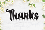 Sweet Jasmine | Script Font, a Handwritten Font by Scratchones (Thumbnail 9 of 9)