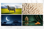 Eid al Adha Stock Images Bundle, a Photo by zahidhossainalif (Thumbnail 2 of 7)