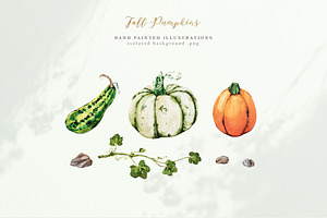 Fall Pumpkins Illustrations