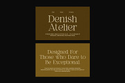 Riukan modern elegant serif font, a Serif Font by Perfectype (Thumbnail 6 of 8)