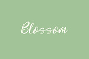 Imote Feminine Script Font, a Script Font by NTC Graphic (Thumbnail 2 of 8)