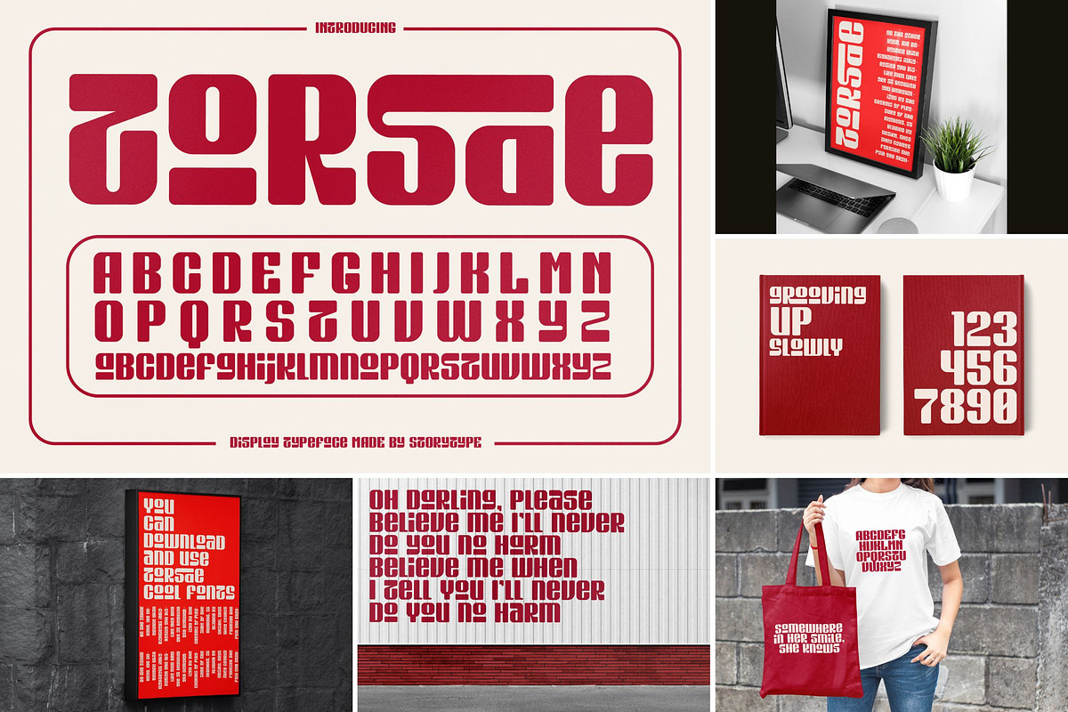 SALE! Attractive Modern Display Font, a Serif Font by Storytype Studio (Photo 39 of 41)