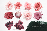 Autumn flowers, a Decorative Illustration by ollalya (Thumbnail 3 of 13)
