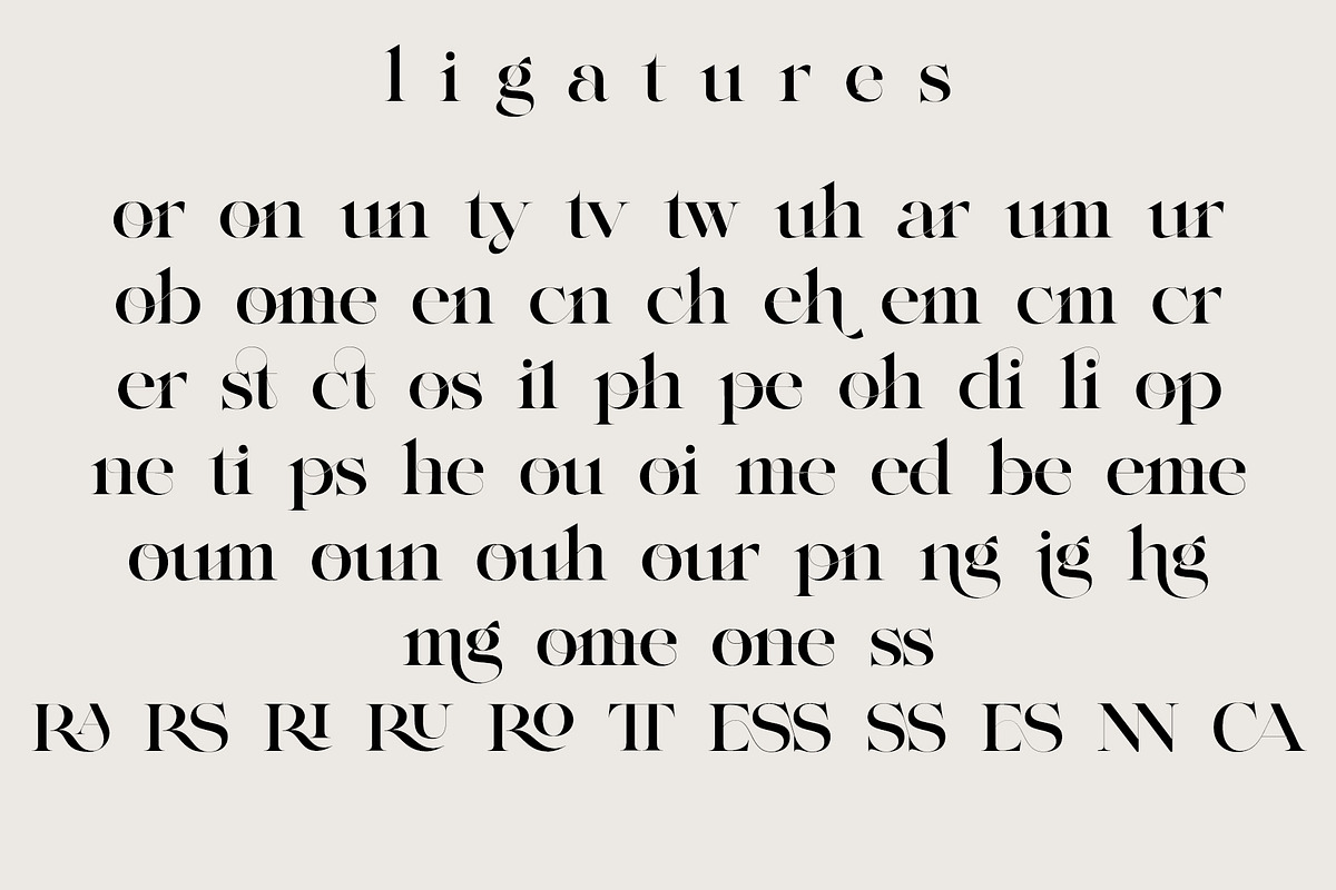 NY Glamour Authentic, a Serif Font by NYDESIGN (Photo 8 of 10)