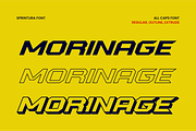 Sprintura, a Sans Serif Font by ahweproject (Thumbnail 5 of 13)