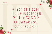 Sweet Valentine Stylish Serif Font, a Serif Font by Perfectype (Thumbnail 8 of 8)