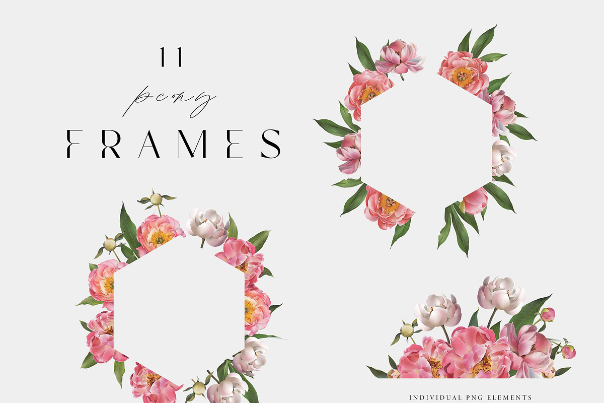 Peony watercolor clipart & patterns, a Decorative Illustration by Diana Askarova Art (Photo 6 of 11)