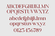 Bareya Modern Serif, a Serif Font by Muflieart (Thumbnail 8 of 9)