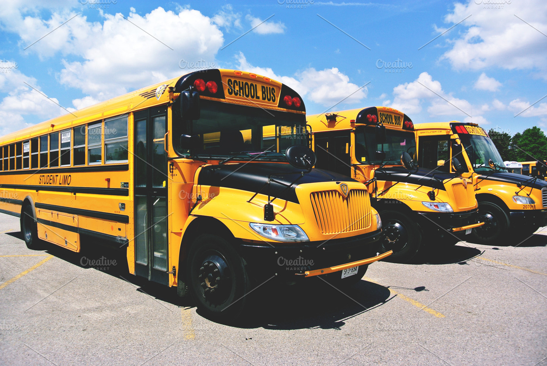 School Bus Containing School Bus School And Education