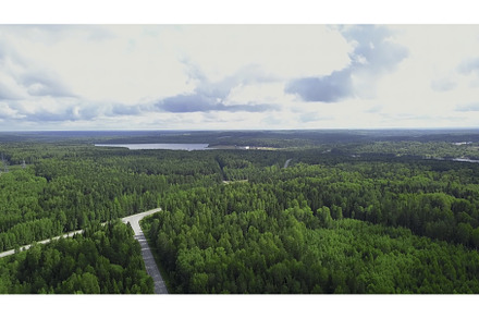 Top view of summer landscape of, a Nature Photo by Media Whale Stock