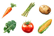 Watercolor Vegetables Clipart, an Illustration by CreationArt (Thumbnail 5 of 5)