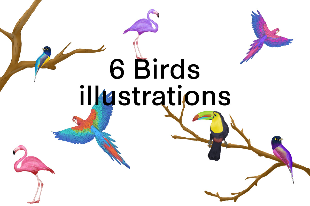 Colorful Tropical Summer Design Set, an Animal Illustration by Def Studio (Photo 4 of 7)