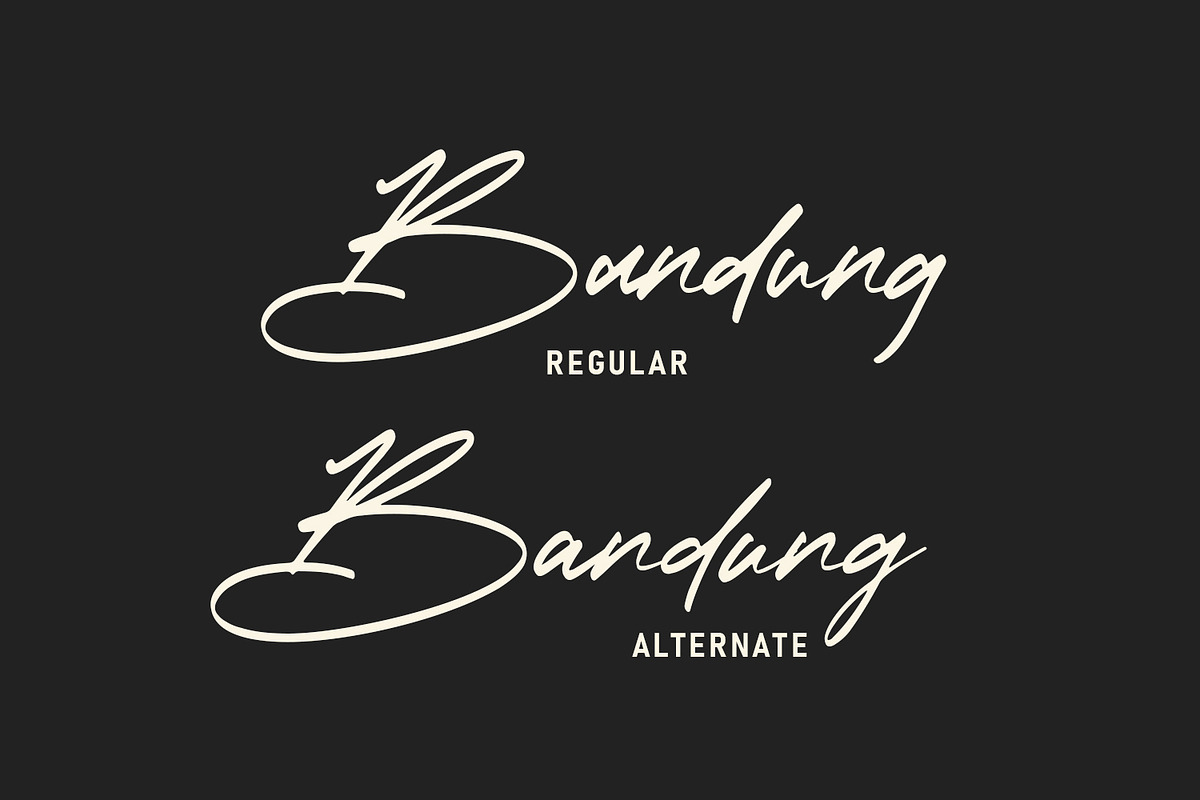 Bandung Signature - Modern Font preview 2