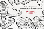 Snake Reptile Vector Line Art Set, an Animal Illustration by MadliArt (Thumbnail 2 of 4)