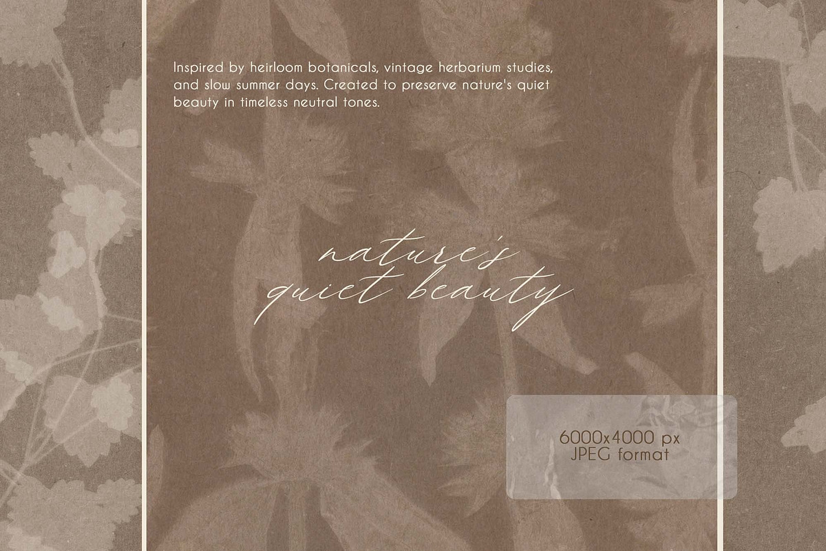 Silent Herbarium Botanical Textures, a Background Graphic by DigARTbyHavroshka (Photo 5 of 11)