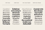 Euclid Serif | 180 Font Files, a Serif Font by Ws Studio (Thumbnail 6 of 12)