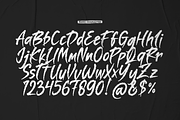 Amorim Santos Solid Hand Drawn Brush, a Handwritten Font by gracetype_studio (Thumbnail 10 of 12)