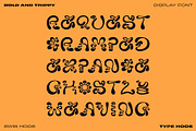 Swib Hoos - Display Font, a Handwritten Font by Type Hoos (Thumbnail 4 of 8)