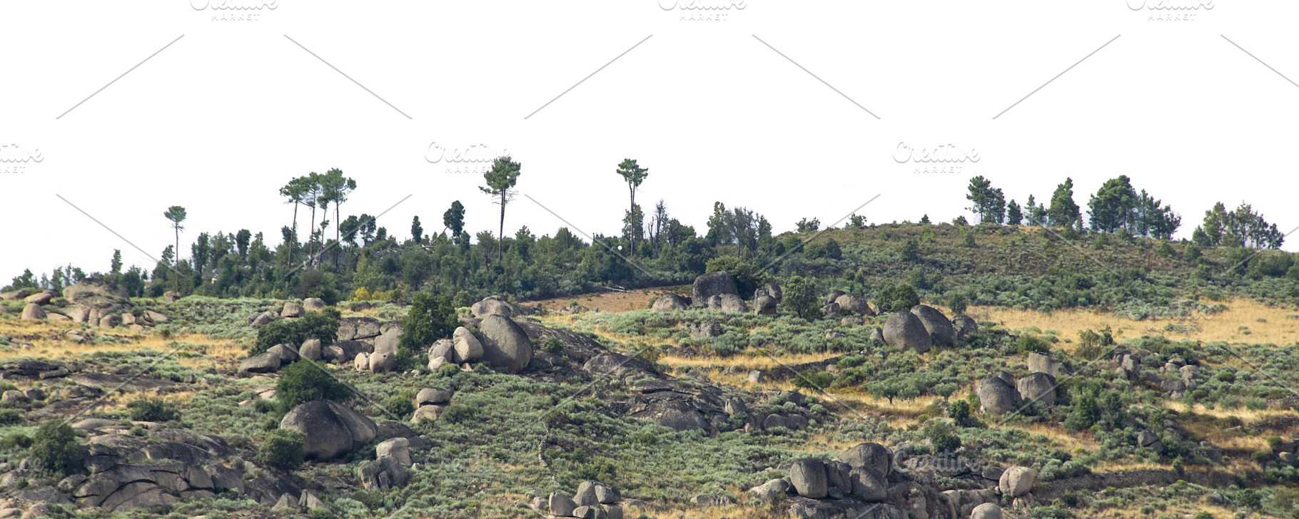 Rocky rural terrain with vegetation, a Nature Photo by DanFLCreativo