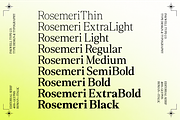 Rosemeri — MODERN EDITORIAL SERIF, a Serif Font by InkwellTypeCo (Thumbnail 9 of 19)