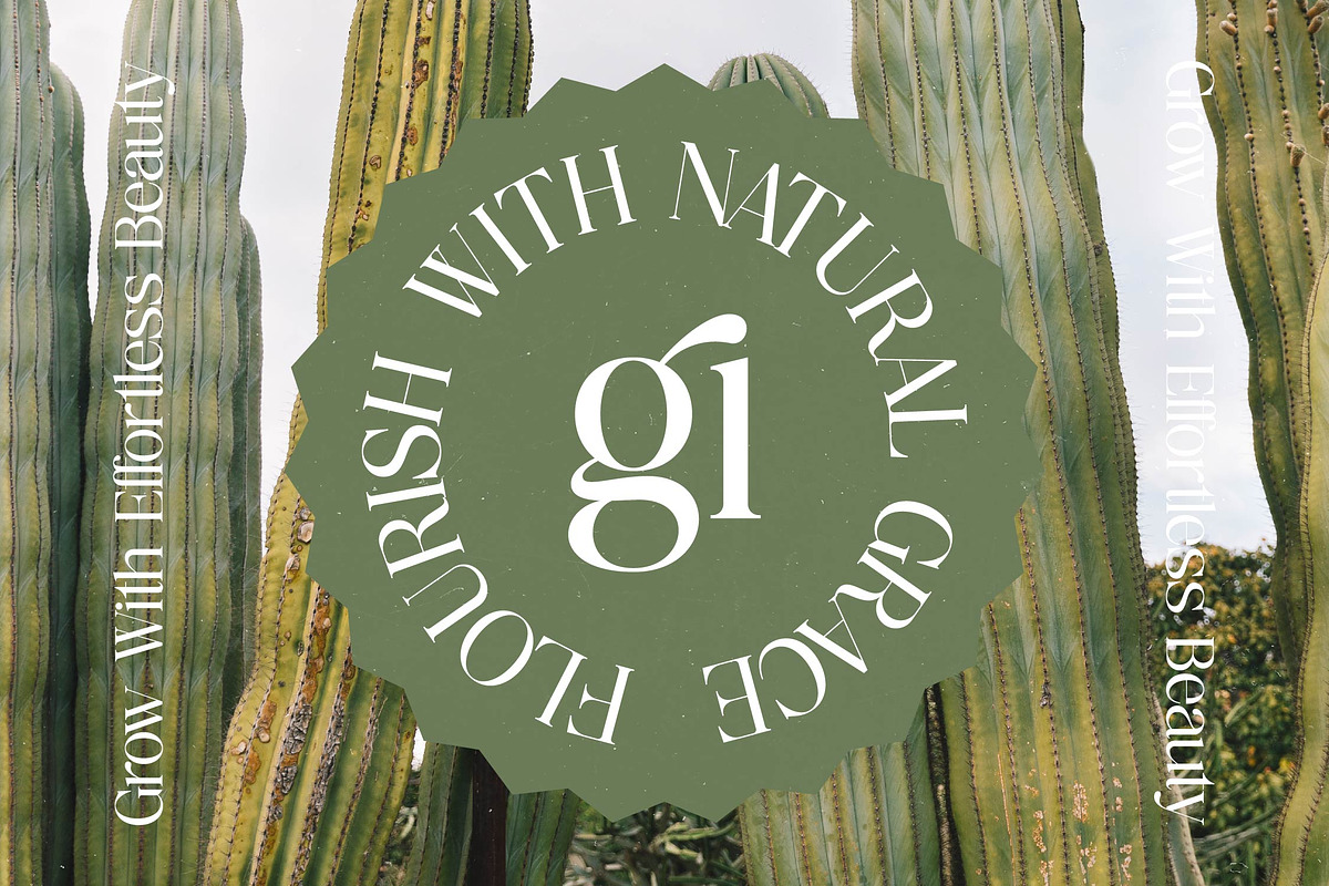 Nostalgic Flashy Modern Serif, a Serif Font by timelesstype.co (Photo 4 of 20)