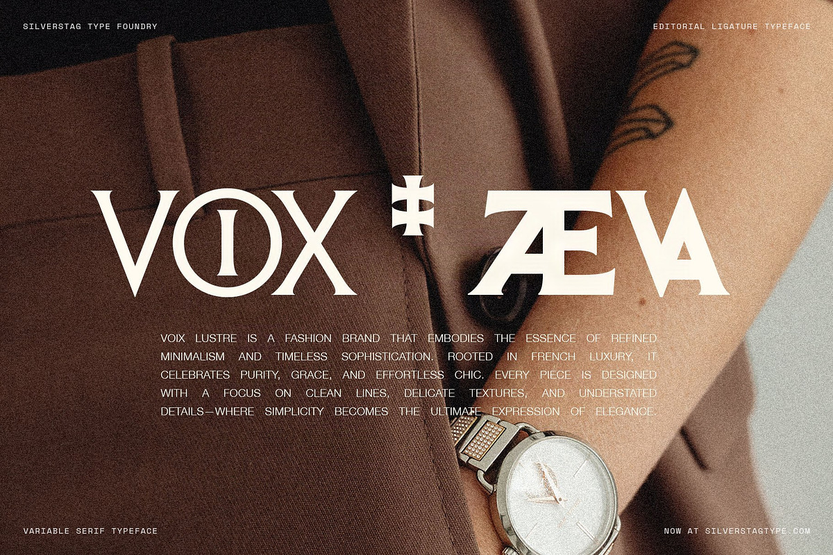 Arcilla — Variable Editorial Serif, a Serif Font by SilverStag Type Foundry (Photo 6 of 31)