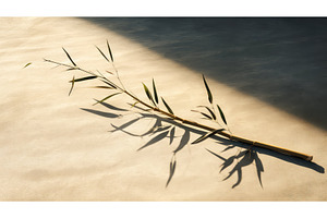 green bamboo shadow ai generated, a Background Photo by pikepicture