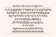 Drigha - Stylish Serif Font, a Serif Font by Typebae (Thumbnail 8 of 11)