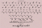Monika Calligraphy Font, a Script Font by Cut Story (Thumbnail 10 of 11)
