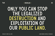 Douglas Vintage Display Font, a Sans Serif Font by bryrude (Thumbnail 5 of 5)